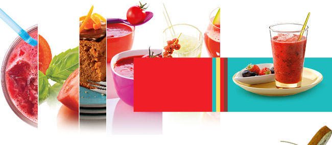 variedades de receitas feitas com o liquidificador Viva