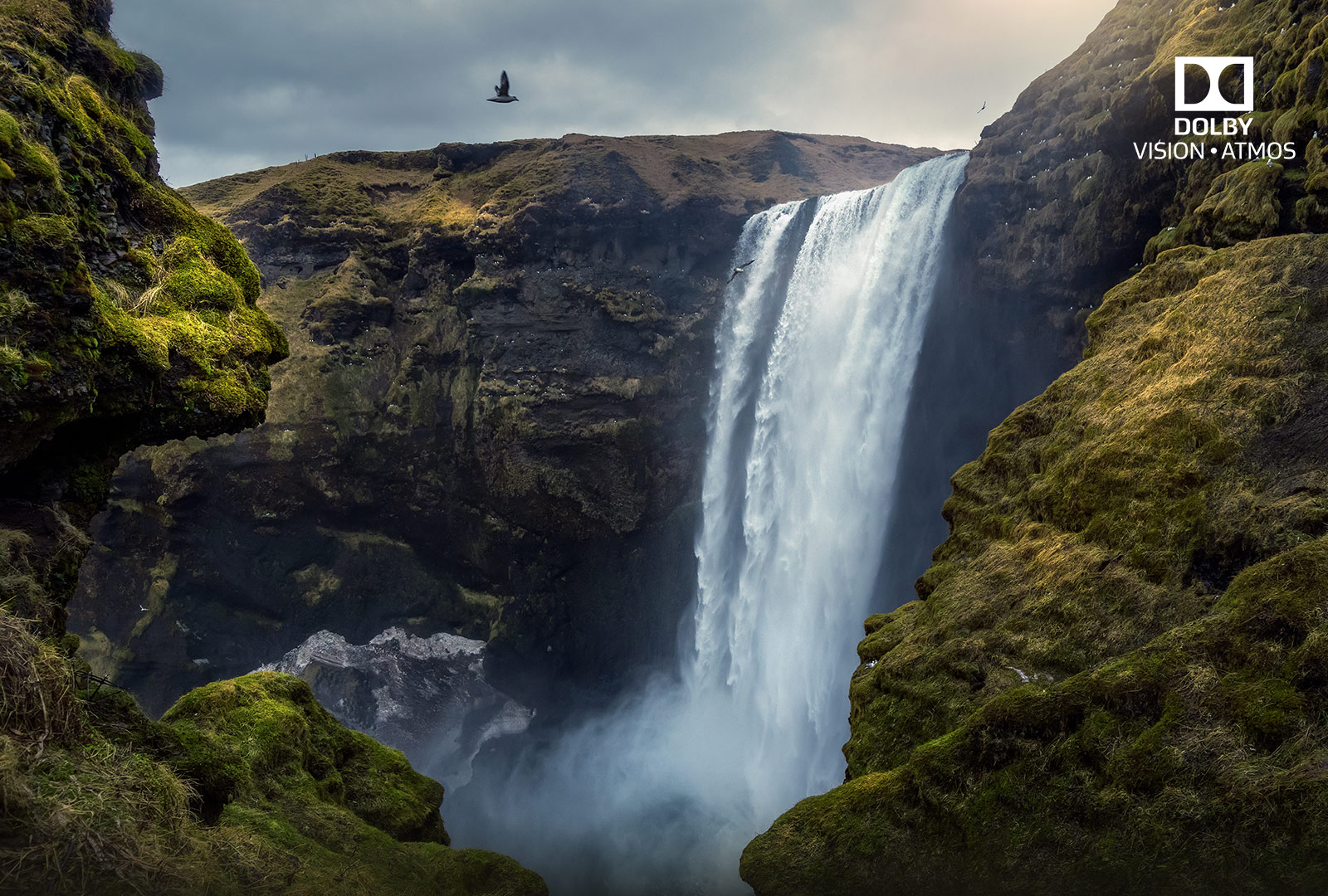 Dolby Vision e Atmos, Experiência Cinematográfica