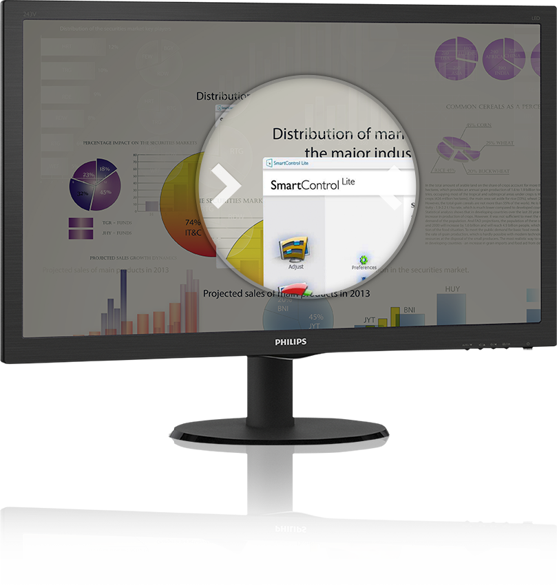 Monitor SmartControl Lite