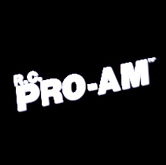 logo pro-am