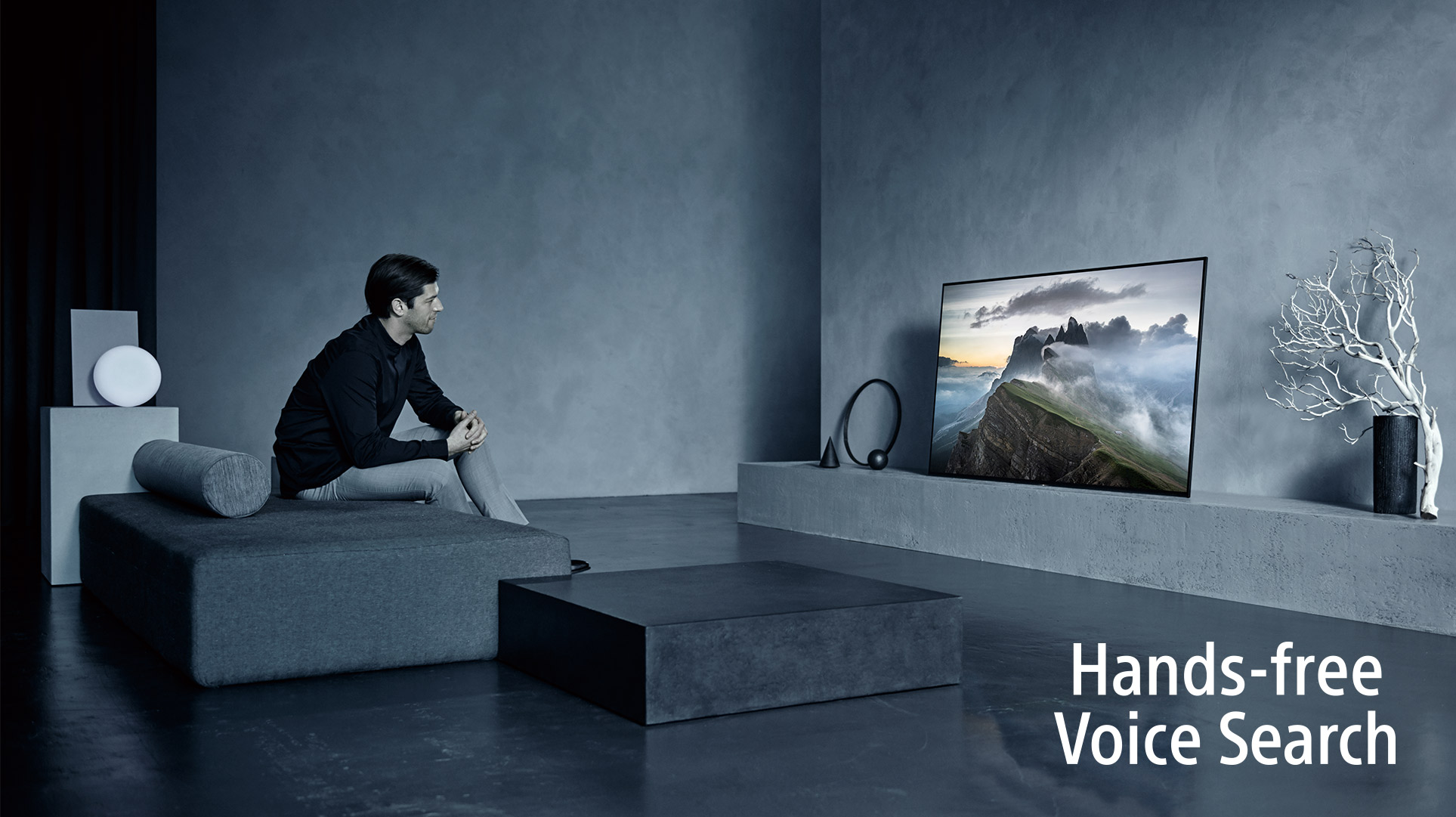 Hands-Free. Voice Search