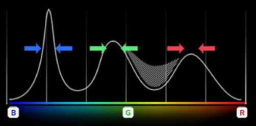 LG NanoCell - Cores impuras de comprimento de onda RGB puro removidas