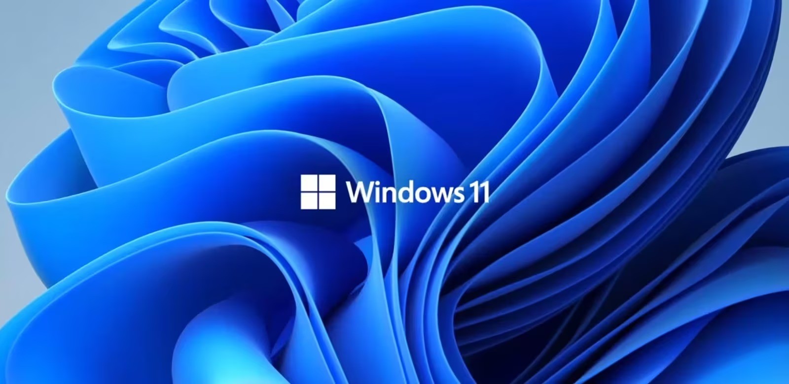 Windows 11 Windows 11