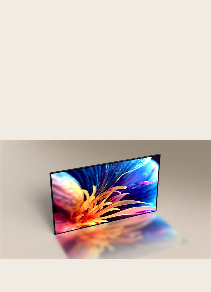  O vídeo começa com a LG TV Super Slim vista de cima, a partir de um ângulo de câmera elevado. O ângulo da câmera desliza para mostrar a frente da TV, exibindo a imagem de uma flor colorida e ampliada.