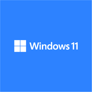 windows 11