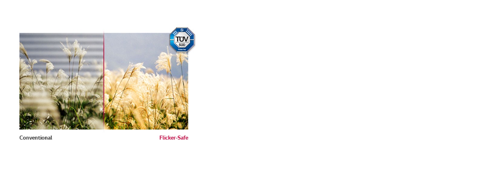 Flicker Safe